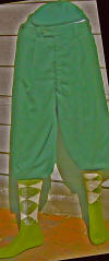 Hunter Green Microfiber knickers